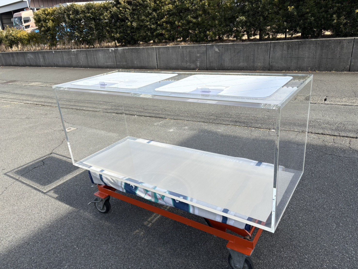 天板式アクリル水槽